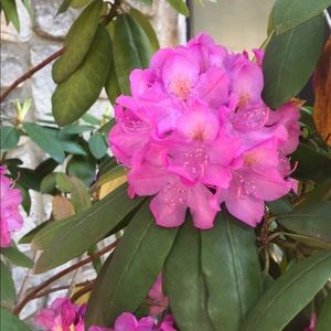 Meet your Posher, Faranak